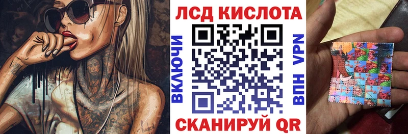 где можно купить наркотик Петрозаводск Марки N-bome 1500мкг
