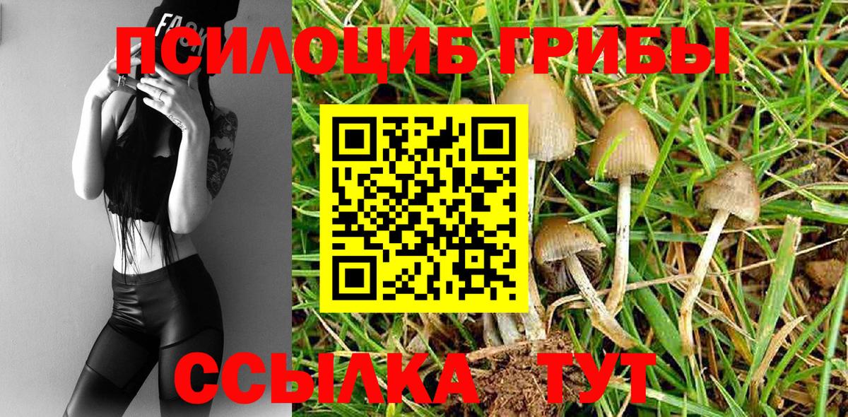 Галлюциногенные грибы Cubensis Петрозаводск