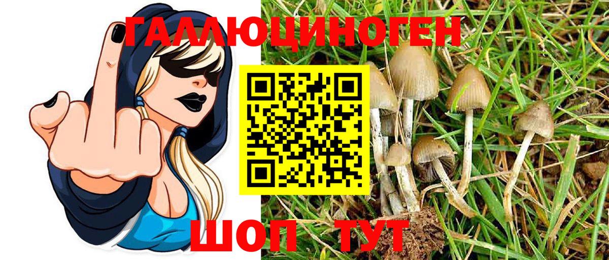 Псилоцибиновые грибы MAGIC MUSHROOMS  Вход с VPN  Псилоцибиновые грибы Psilocybine cubensis  Петрозаводск 